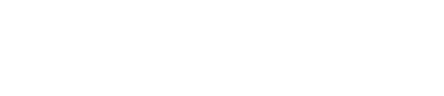 Vonahi Security